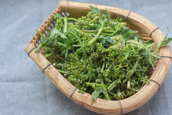 珠海美食鸡屎藤米糊