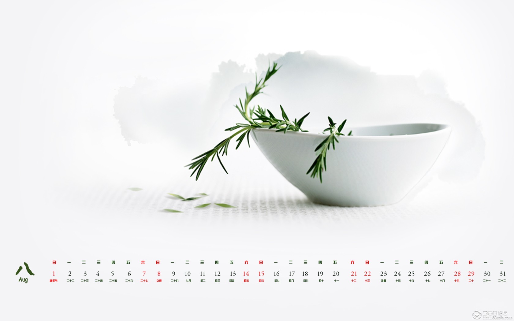 八月你好希望这个月过的好一点