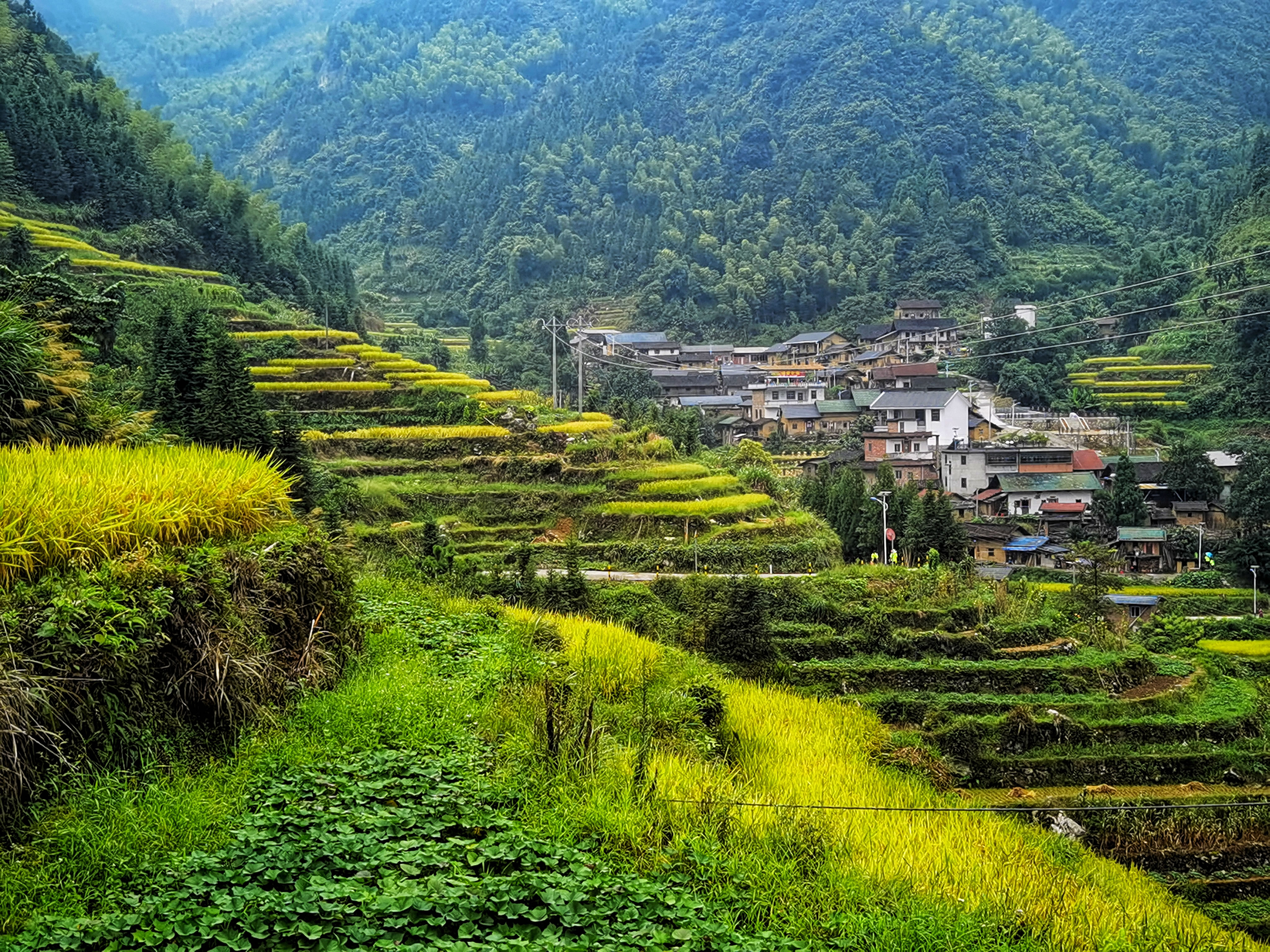 【粉丝生活】拍广东乳源瑶寨梯田