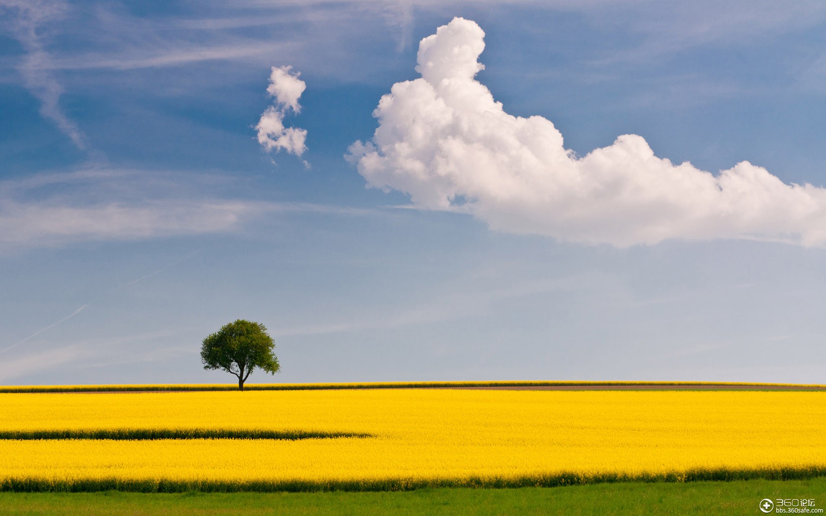 【360资源组】—大自然精品美图