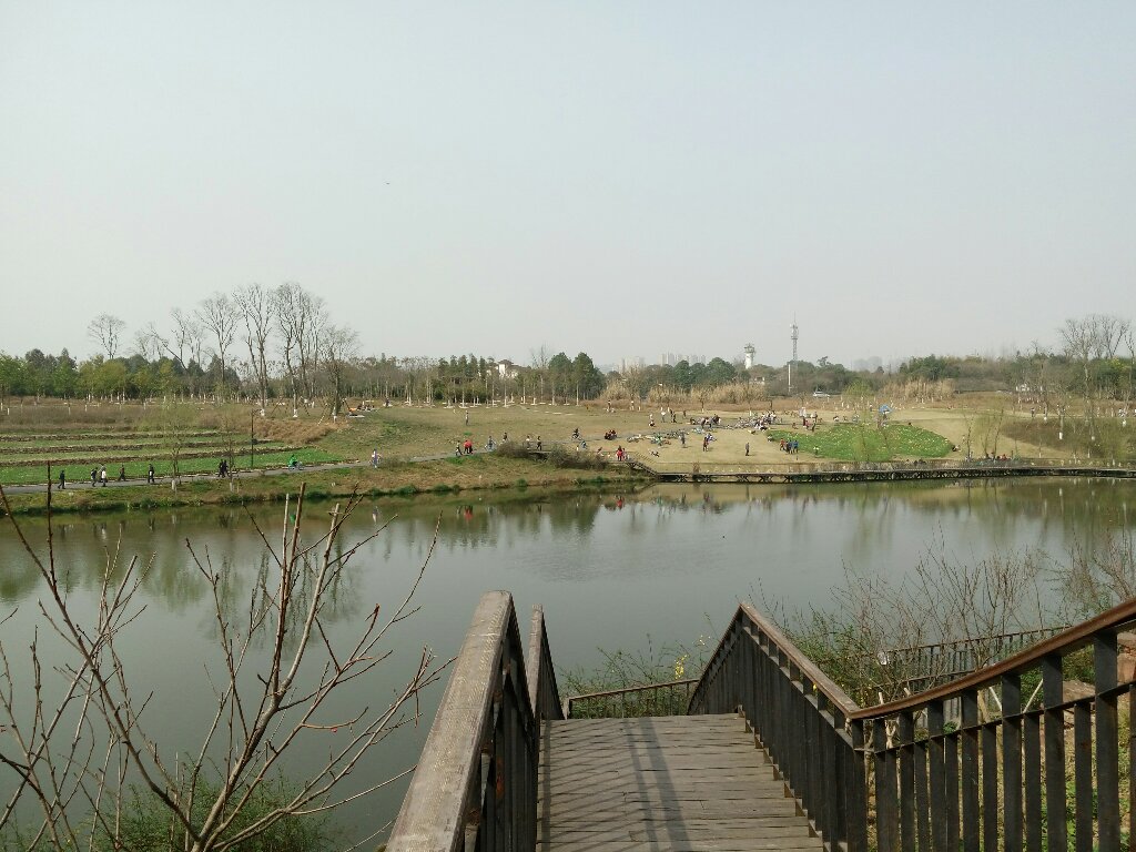 三圣乡湿地公园