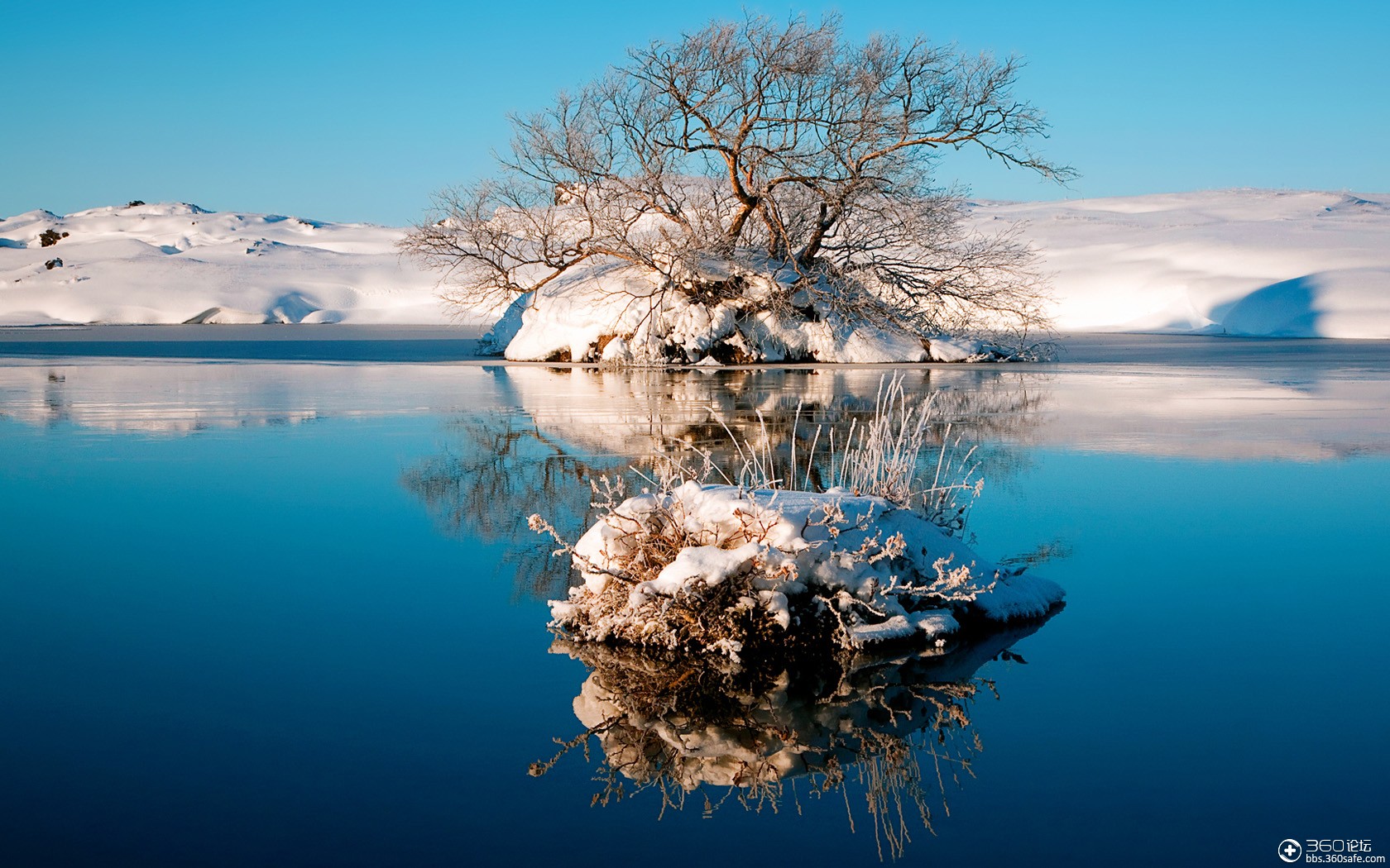 【360资源组】—大自然精品美图