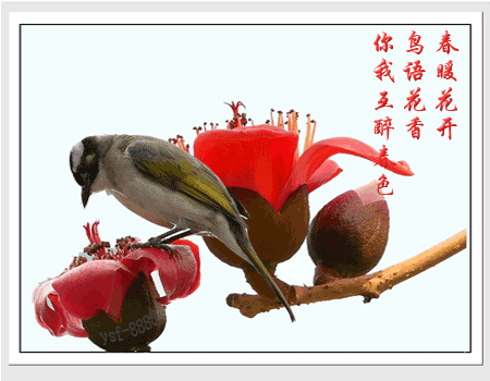 450_350gif 动态图 动图