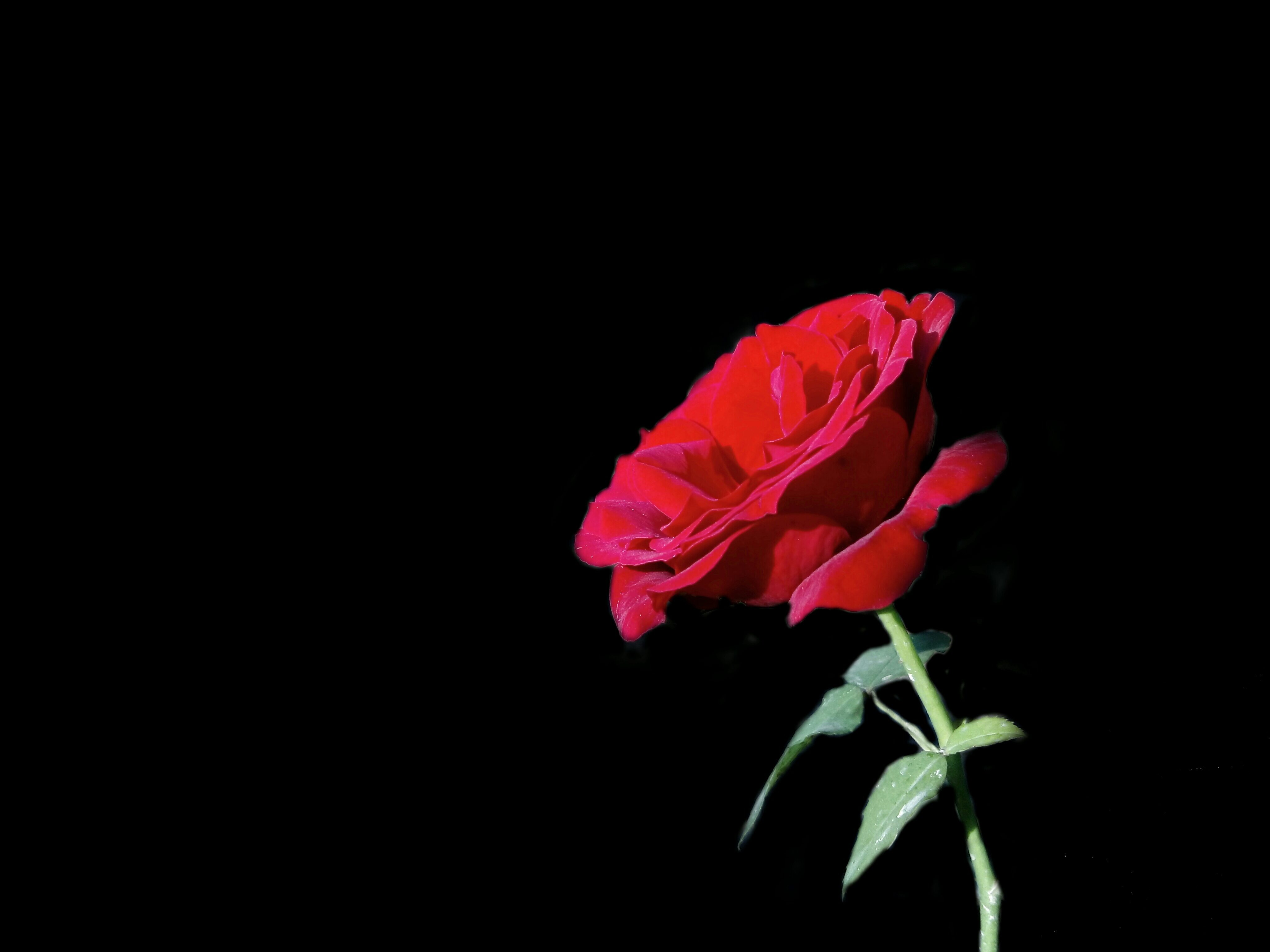 黑色系电脑壁纸-千图网