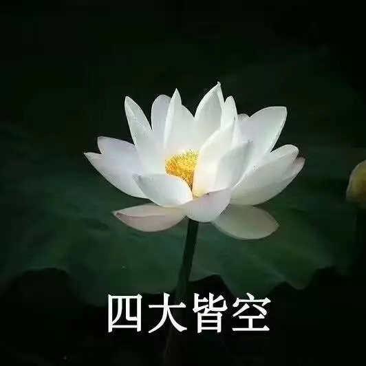 佛系青年