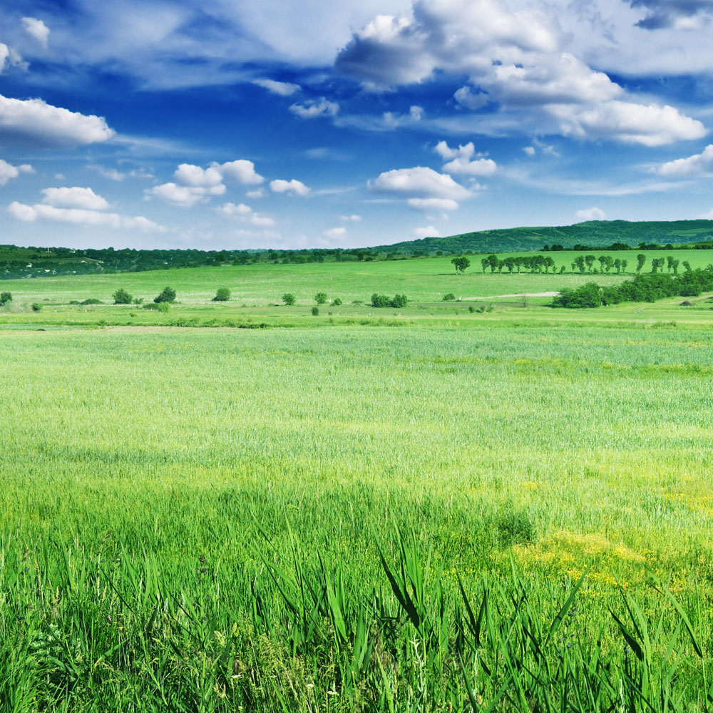社会的底线在哪里