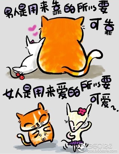 【庆五一】猫言猫语--猫的人生哲理
