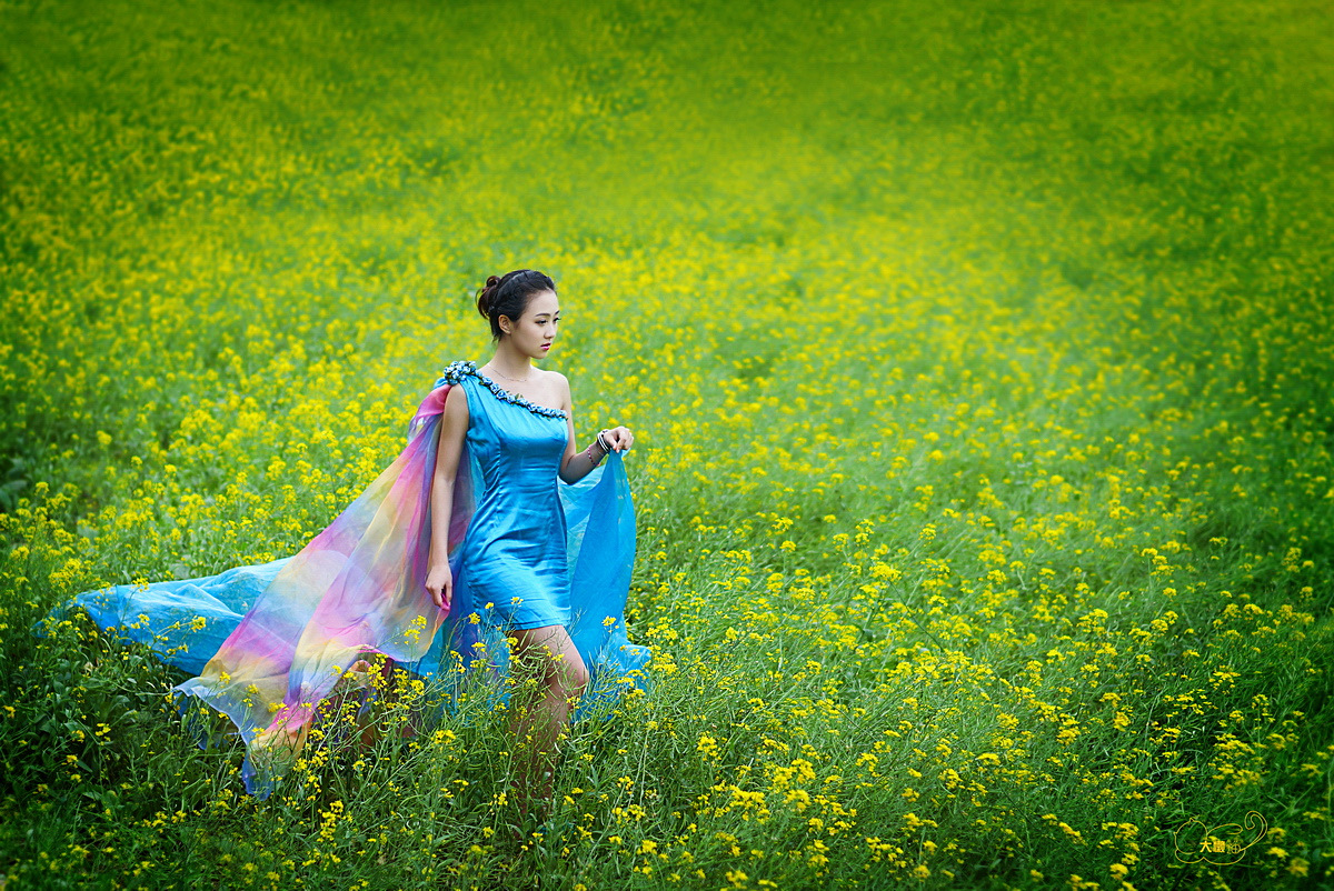 油菜花开醉靓女