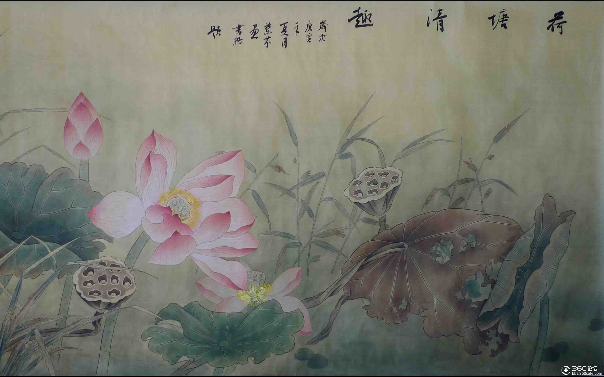 荷花国画桌面壁纸