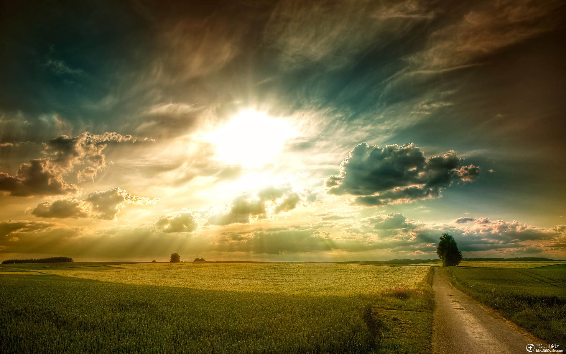 舞步主题日光下的平原农田风光xp主题