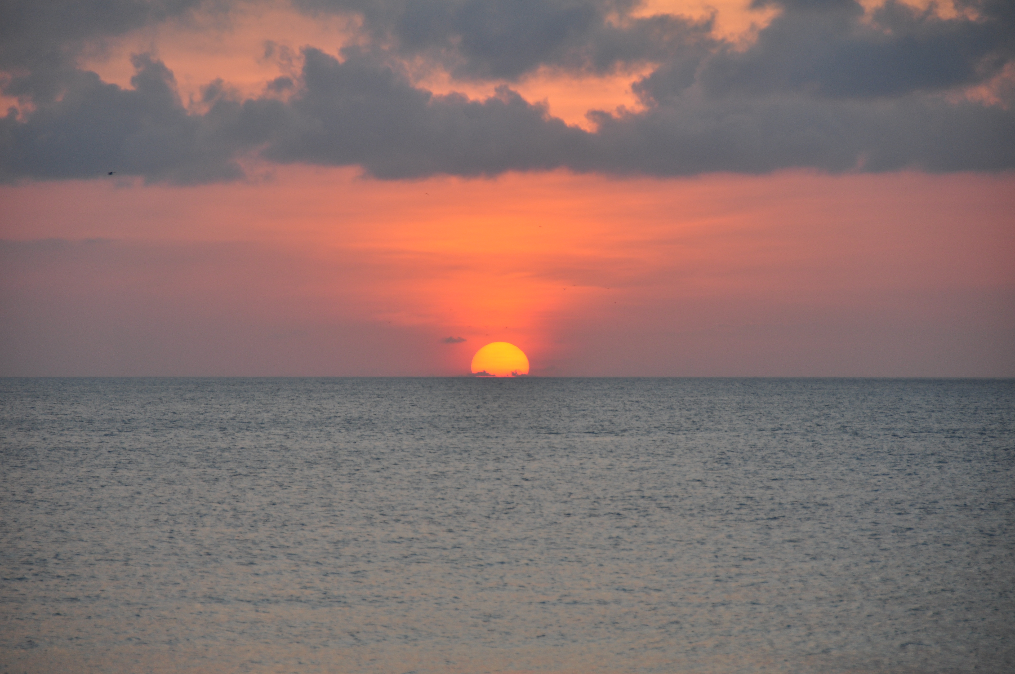                巴厘岛的海边落日