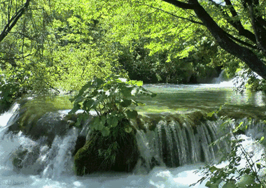 山谷里的小溪,夏日的清凉