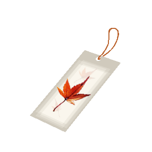 300_300gif 动态图 动图