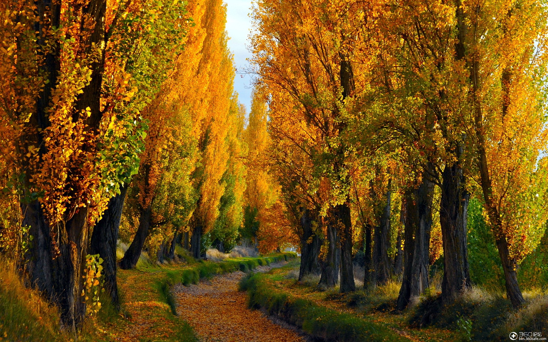 高清风景美景电脑壁纸 二