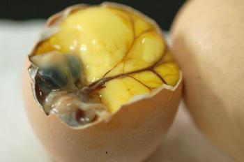 鸡蛋孵化死胎图片图片