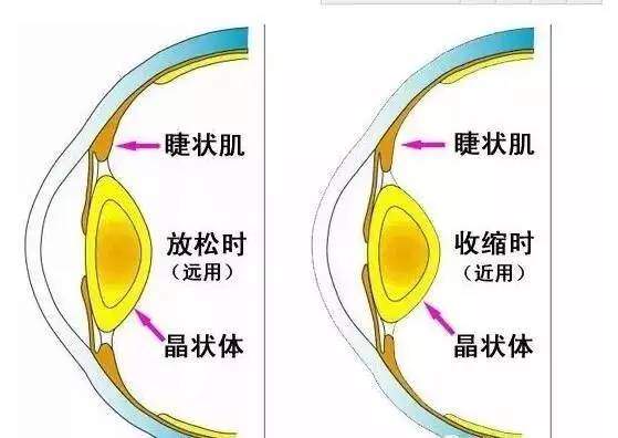 4種趣味運動幫助孩子保護視力