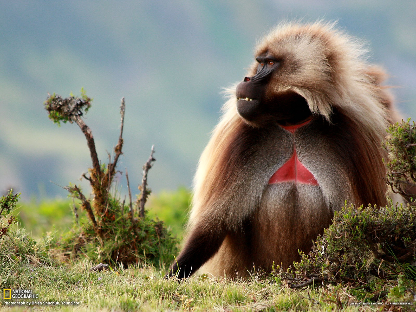 国家地理每日一图 2013(02月合集)_360社区