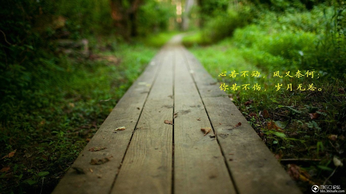 人生有度方坦然