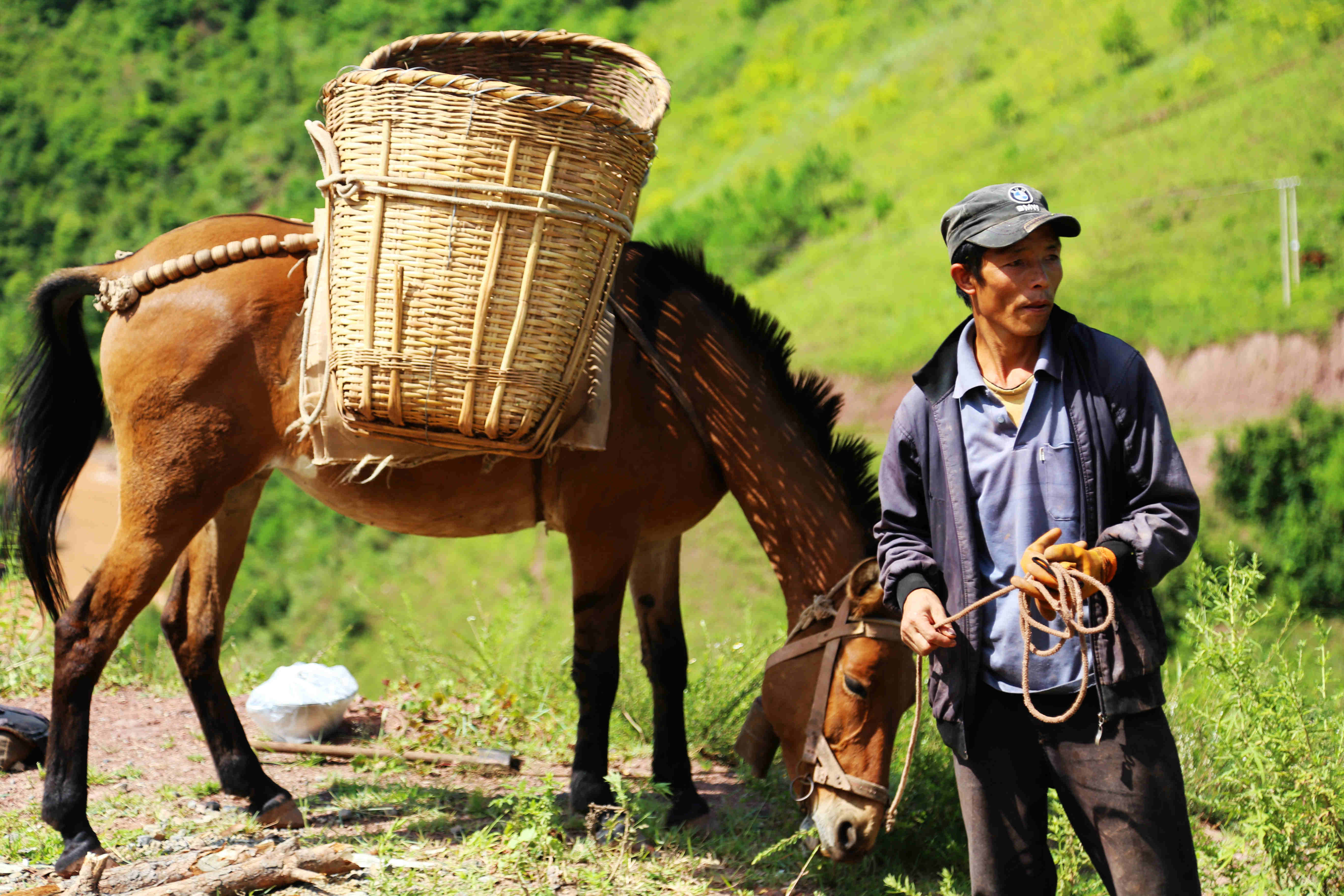 n5镜头下的普米族