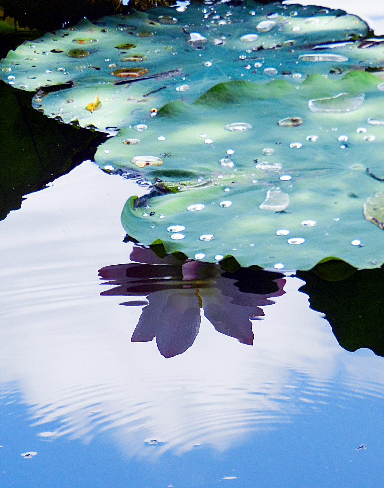 69 360手机 69 手机摄影