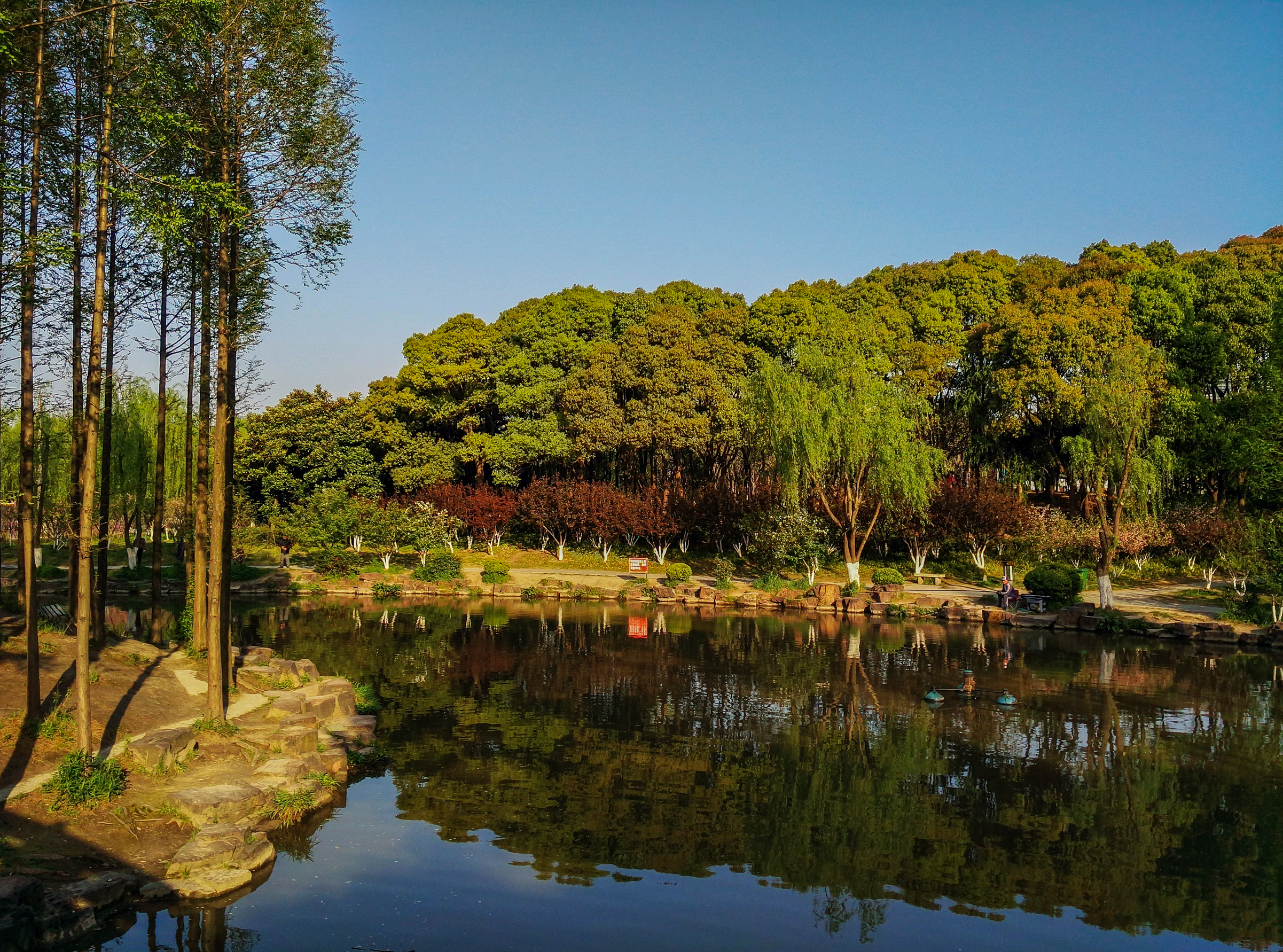 前侧光照片 风景图片