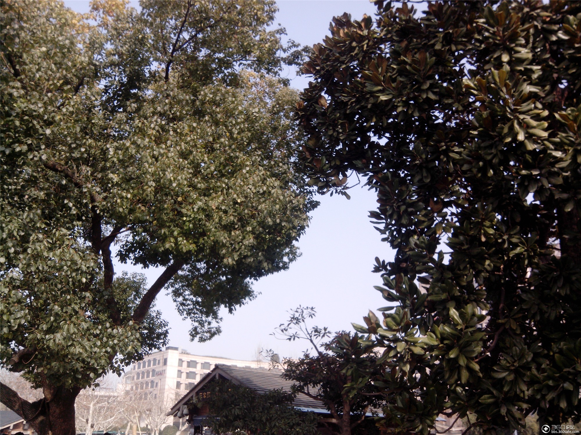 800万像素就比500万像素强吗800万vs500万实拍评测对比