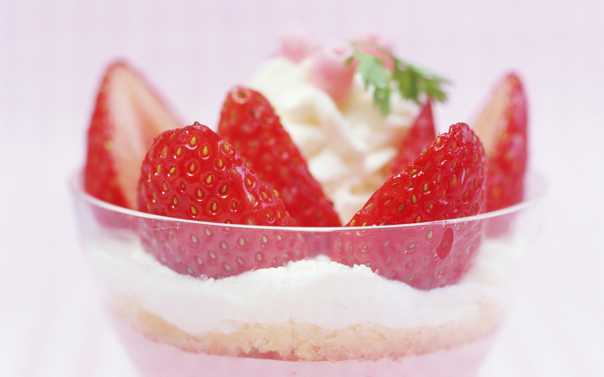 360资源组有本事就把我吃掉高清壁纸1920x120033p