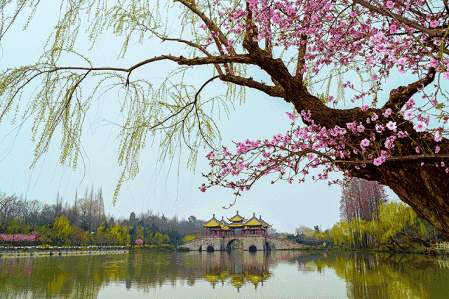 清明小长假 踏青目的地——江苏 扬州