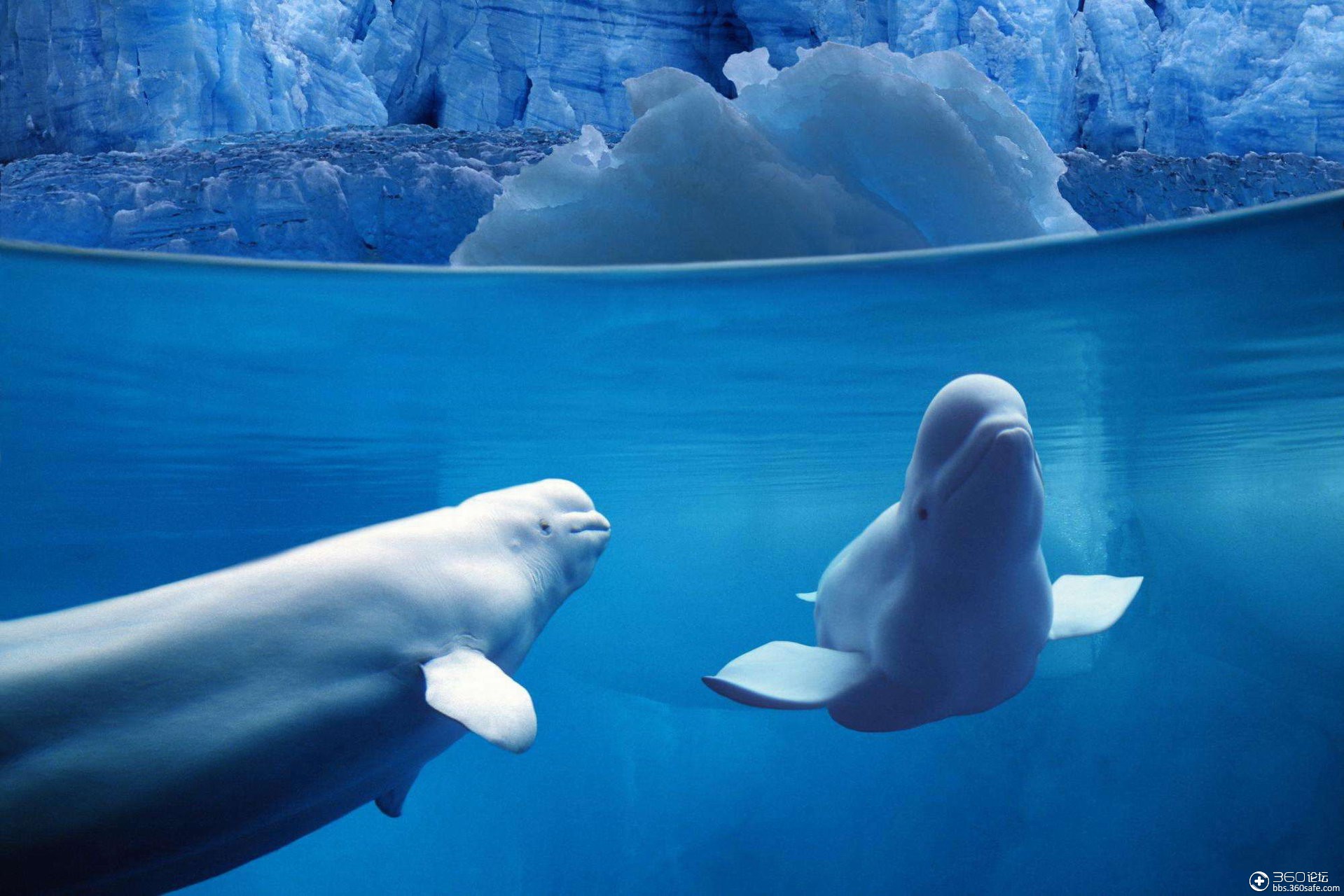 海底世界美图(一)