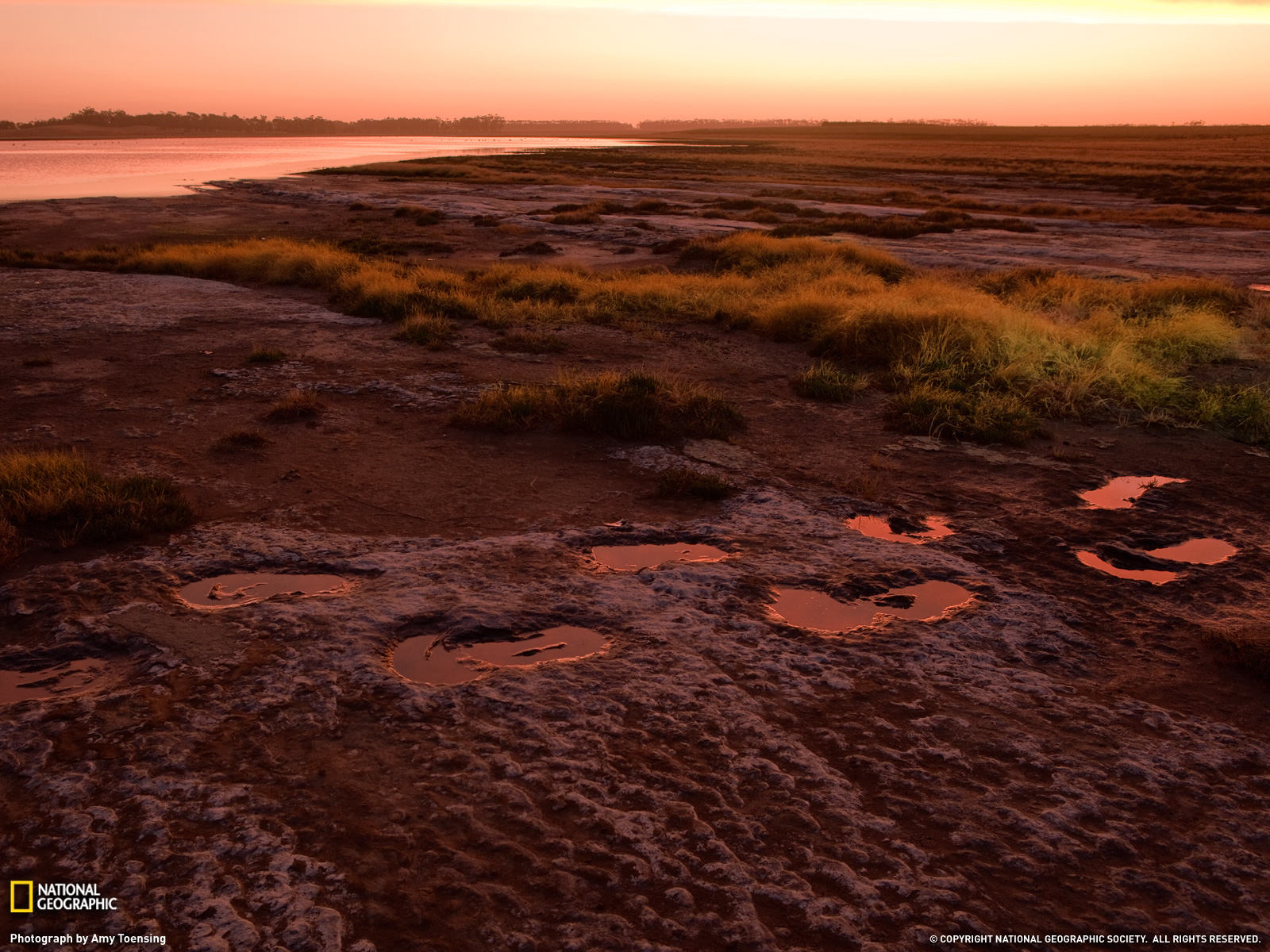 3.6 澳大利亚双门齿兽遗迹.jpg