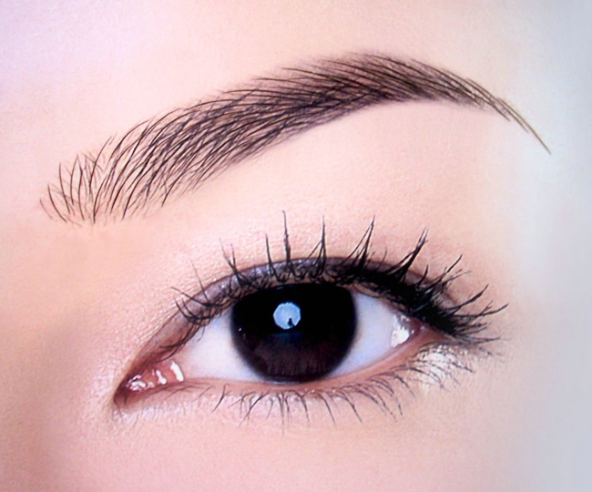 中国古典美女之眉毛