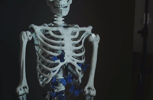 艺术殿堂精品欣赏83