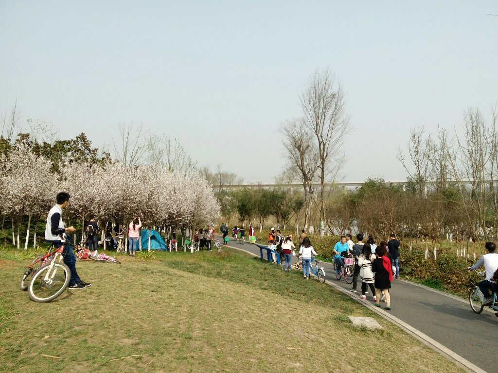 三圣乡湿地公园