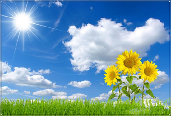 煮一壶阳光暖心