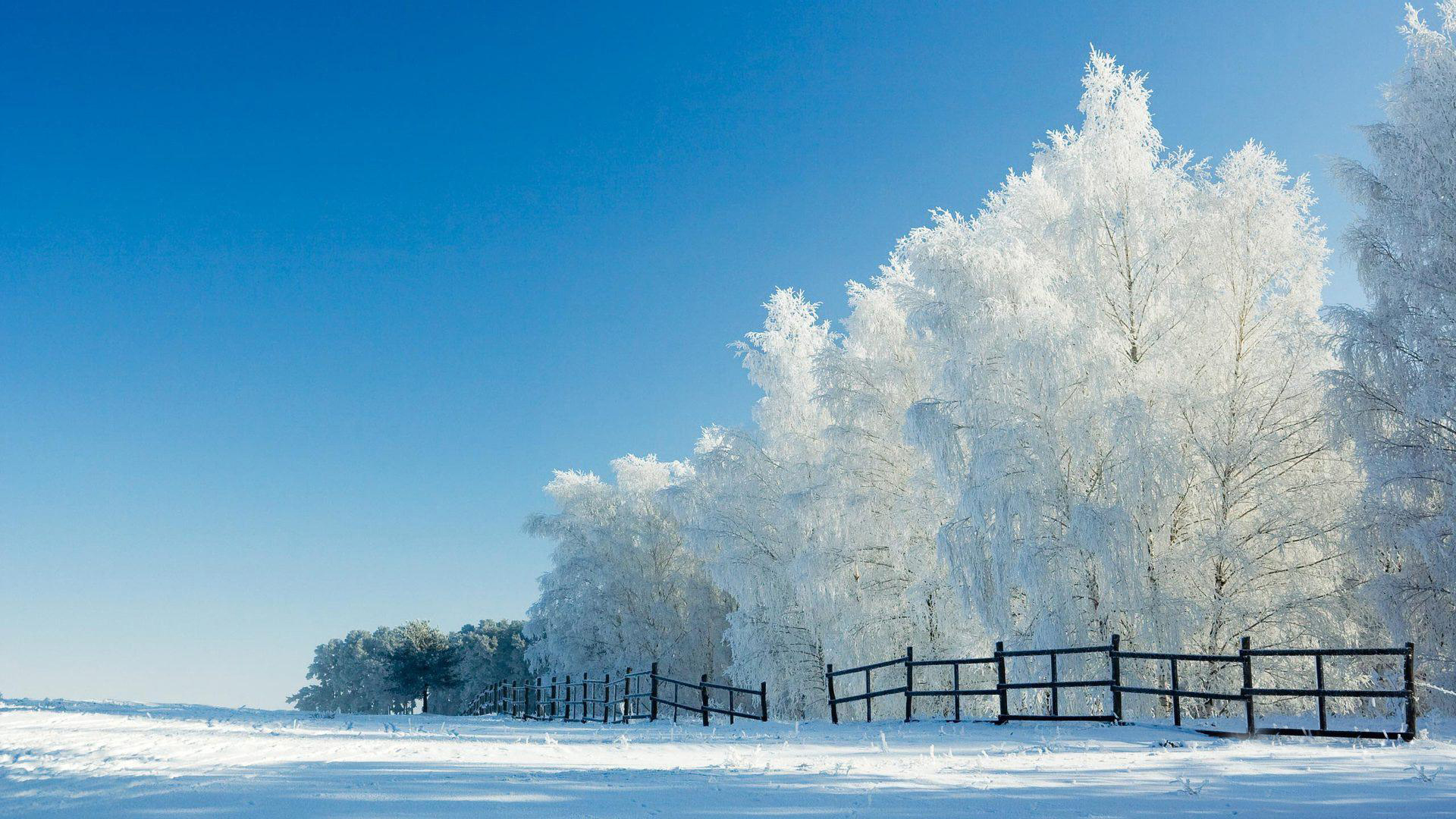 相约在冬季 唯美雪景高清壁纸